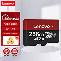 Lenovo 联想 T1 Micro-SD存储卡 256GB（UHS-I、V30、U3、A1）