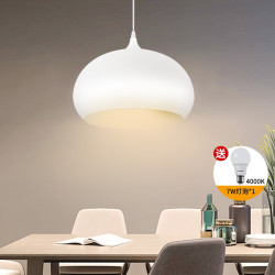 Panasonic 松下 HHLN1005 简约时尚大气单头餐吊灯+球泡