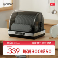 ankale 消毒柜 家用桌面台式 迷你小型 高温杀菌 厨房餐具刀架碗筷保洁柜 42L