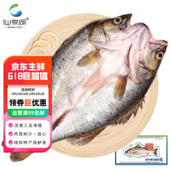 仙泉湖 三去白蕉海鲈鱼 400g*1条 净膛冷冻刺少肉厚 地标特产