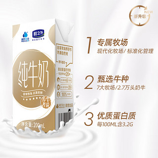 WENSDI 温氏乳业 纯牛奶 200ml*16盒/箱