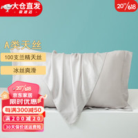 KooWispoA类100支兰精天丝枕套一对装100%莱赛尔冰丝枕头套 天灰色 48*74cm(一对装)