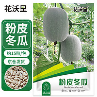 花沃里粉皮冬瓜15粒/包 蔬菜种子四季菜种籽速成菜阳台盆栽庭院田间种植