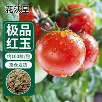 花沃里红玉小番茄100粒/包 蔬菜种子红珍珠番茄小西红柿阳台庭院田间种