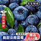 京世泽 应季高山蓝莓 约125g/盒 时令水果 1盒优选果 JD顺丰配送到家