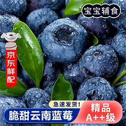 应季高山蓝莓 约125g/盒