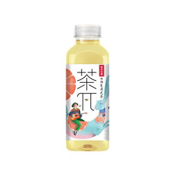 NONGFU SPRING 农夫山泉 茶π 西柚茉莉花茶 500ml*5瓶
