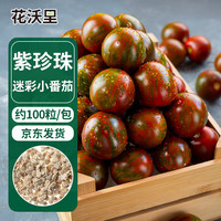 花沃里 紫珍珠迷彩小番茄100粒 蔬菜种子圣女果小西红柿盆栽阳台庭院田间