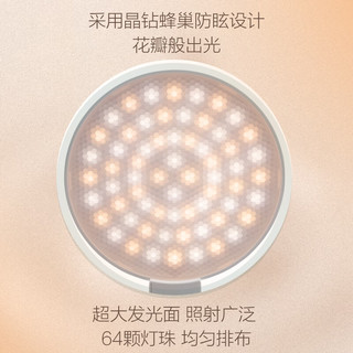 PHILIPS 飞利浦 LED充电台灯学生宿舍学习用护眼灯卧室书桌儿童USB充电酷湃 3000mAh充插两用