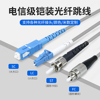 优普连 电信级铠装光纤跳线SC-FC 10米多模双芯带铠尾纤 防鼠咬凯甲钢丝抗压抗拉