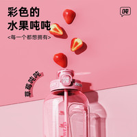 吨吨 BOTTLED JOY 水果吨吨桶大容量运动水壶健身水杯便携顿顿水壶大肚杯子吨吨杯