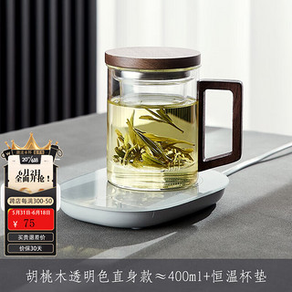 青苹果（QINGPINGGUO）玻璃泡茶杯男女生高颜值水杯茶水分离设计小众高档个人专用茶杯 透明直升+恒温宝