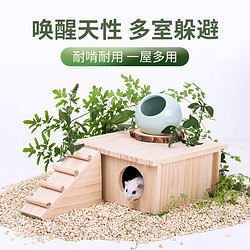 威毕 仓鼠木屋多居室荷兰猪花枝鼠两居室鼠窝宠物造景用品躲避实木窝