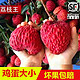 柚萝    海南火山荔枝王      5斤礼盒装  单果 50克+