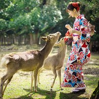 露天温泉之乡，新海诚《你的名字》取景地！Assosia高山度假酒店 标准双人房1晚套餐