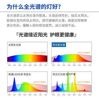 纽思维尔单头筒灯双孔嵌入式led天花灯全光谱护眼客厅无主灯照明斗胆射灯 单头砂白色-暖光