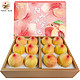 阳山 水蜜桃 单果4-5两 12个礼盒装  预售