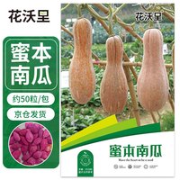 花沃里蜜本南瓜50粒/包蔬菜种子四季菜种籽速成菜阳台盆栽庭院田间种植