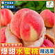 水果 水蜜桃毛桃大桃子孕妇水果当季净重3.1斤8.7斤山西新鲜现摘脆甜