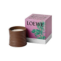 LOEWE 罗意威 香菜香薰蜡烛 610