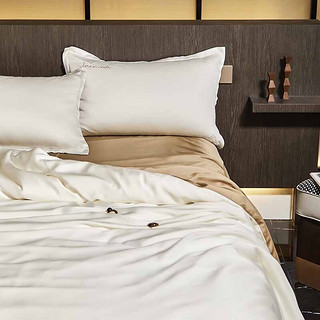 Fitti Pahris轻奢品牌100s夏季兰精天丝四件套高级感裸睡床单被套床上用品 莫兰迪/墨绿  1.8米床单款(适用200*230cm被芯)