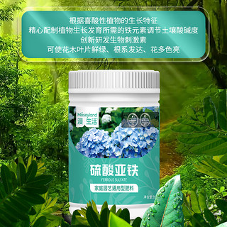 漫生活硫酸亚铁350g*2植物花卉肥料发财树多肉绣球茶花杜鹃茉莉花肥通用