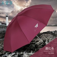 天堂伞 十骨加大加固双人雨伞三折叠男士女士学生防风商务大伞定制logo 童年记忆十骨双人雨伞