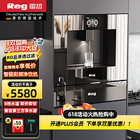 Reg 雷哲 V200嵌入式饮水机家用RO反渗透净水器