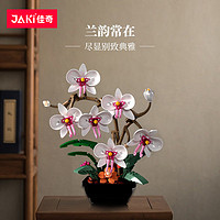 JAKI 佳奇 植物日志系列 JK29012 蝴蝶兰（婉约白）