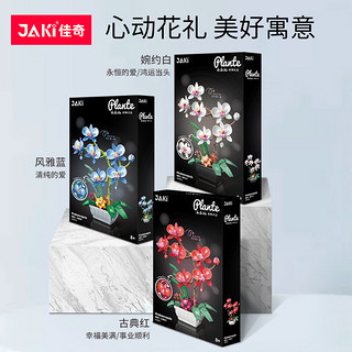 JAKI 佳奇 植物日志系列 JK29012 蝴蝶兰（婉约白）