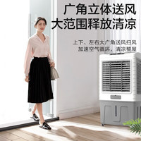 艾美特 冷风机家用大型可移动商用