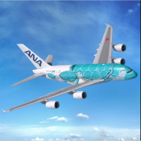 含暑假开头！有效期到年底！全日空航空 全国多地-日本四大动漫圣地往返次卡