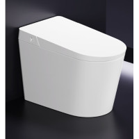 R&T 瑞尔特 D5 智能马桶一体机 （305/400坑距）