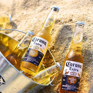 Corona 科罗娜 啤酒355ml