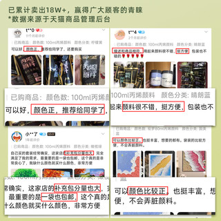 CHINJOO 青竹画材 青竹丙烯颜料袋装100ml无甲醛diy手绘涂鸦彩绘石头T恤球鞋防水上色纺织颜料画画染料手工颜料补充装补充包