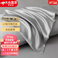 KooWispo100支兰精天丝枕套一对装单人100%莱赛尔冰丝枕头套 帛觉灰 48*74cm(一对装)