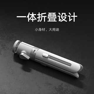 Xiaomi 小米 MI 小米 BHR6843CN Redmi投影便携支架