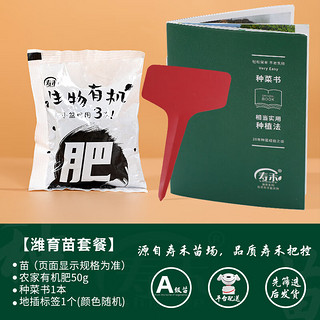 寿禾 食用向日葵苗种室外盘大籽多菜籽 潍育食用向日葵苗12棵苗套餐