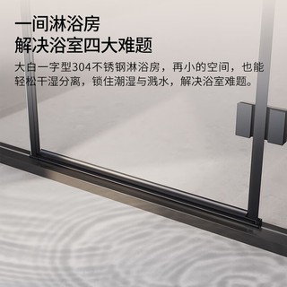 大白淋浴房无边框玻璃隔断干湿分离浴屏浴房浴室沐浴房雅韵一字不锈钢 1.2-1.29m*1.9m 雅黑