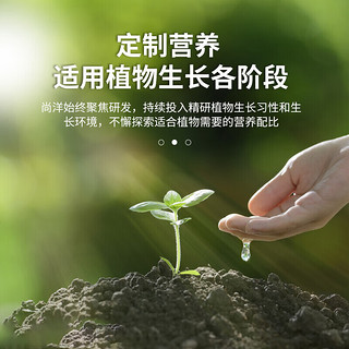 尚洋幸福树植物营养液500ml*2园艺盆栽花肥料水培有机叶面肥十三元素