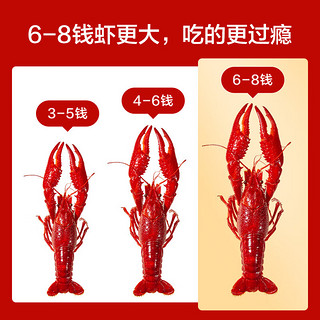 京东京造 6-8钱麻辣小龙虾1.5kg 净虾1kg 虾更大 更过瘾 25-33只