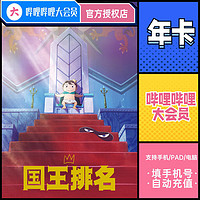 bilibili 哔哩哔哩 大会员年卡 12个月