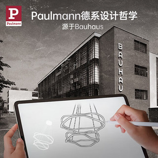 Paulmann P柏曼吊灯Voß 客厅艺术环形灯极简工业风创意餐厅灯具CO202021