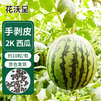 花沃里2k西瓜种子10粒/包 手扒皮西瓜果蔬菜种子家庭盆栽土阳台庭院田间