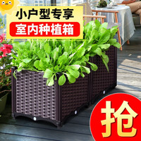 朵咔园艺阳台种菜专用种植箱小户型专用种菜箱长方形塑料花盆楼顶花箱花槽 单层2联箱