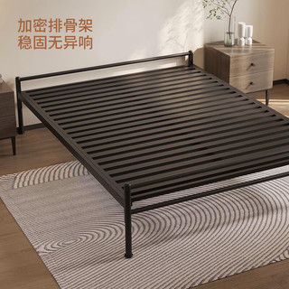 天坛家具 TIANTAN 铁艺床 新款悬浮床无床头简约铁架床铁艺床单人双人架子床 铁艺床 1000*1900