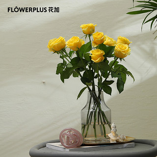 花加 flowerplus 单品鲜花产地直发随机玫瑰10枝