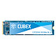 CUBEX 速柏 CP2000 NVMe协议 M.2固态硬盘 1TB（PCIe 3.0）