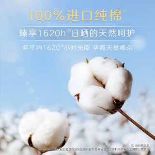 kotex 高洁丝 奢爽纯棉卫生巾日用240mm8片*8包超薄卫生巾组合套装