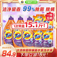 Tide 汰渍 洗衣液薰衣草深层去渍除菌除螨持久留香7.55kg